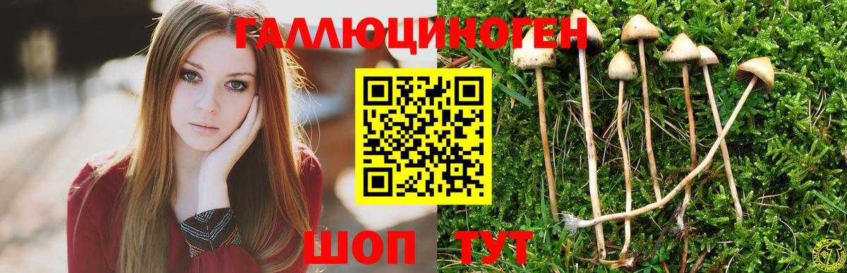 Галлюциногенные грибы мицелий  Вход с VPN  Новотроицк 