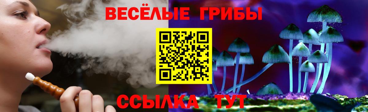 Псилоцибиновые грибы Psilocybe Новотроицк